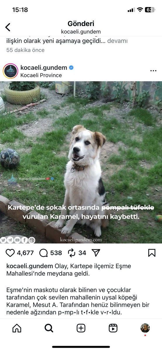 Aylin 🦋🪼🌍 (@aylinvepatileri) on Twitter photo 📍KOCAELİ / KARTEPE
EŞME MAHALLESİNDE KATİL VAR 🚨
Mahallenin sevgilisi çocukların arkadaşı, sahipli Karamel canı, Mesut A. İsimli şahıs pompalı tüfekle ağzından vurarak öldürmüştür.
Gereğinin yapılmasını bekliyoruz ‼️
<a href="/kocaelivaliligi/">TC Kocaeli Valiliği</a> <a href="/KocaeliEmniyeti/">Kocaeli Emniyet Müdürlüğü</a>
<a href="/KartepeBelediye/">Kartepe Belediyesi</a> 📍KOCAELİ / KARTEPE
EŞME MAHALLESİNDE KATİL VAR 🚨
Mahallenin sevgilisi çocukların arkadaşı, sahipli Karamel canı, Mesut A. İsimli şahıs pompalı tüfekle ağzından vurarak öldürmüştür.
Gereğinin yapılmasını bekliyoruz ‼️
<a href="/kocaelivaliligi/">TC Kocaeli Valiliği</a> <a href="/KocaeliEmniyeti/">Kocaeli Emniyet Müdürlüğü</a>
<a href="/KartepeBelediye/">Kartepe Belediyesi</a>