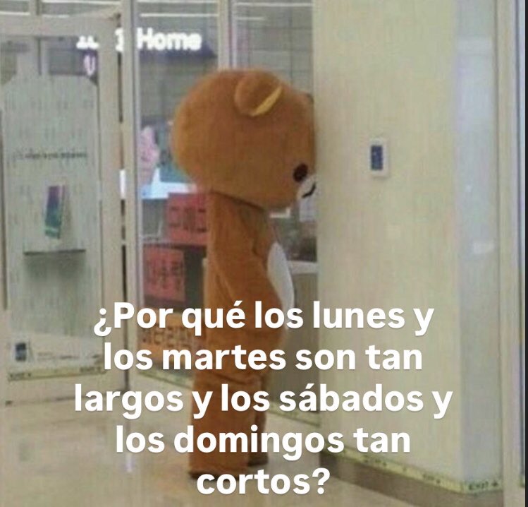 memecuac's tweet photo. https://t.co/yHL9taHTcD