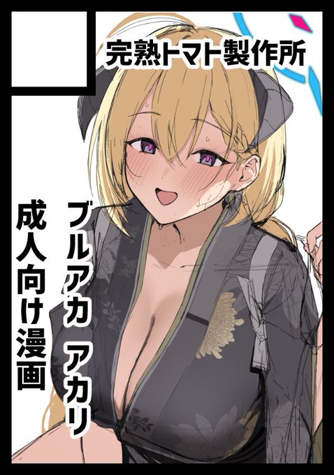 冬コミ応募しました～ 