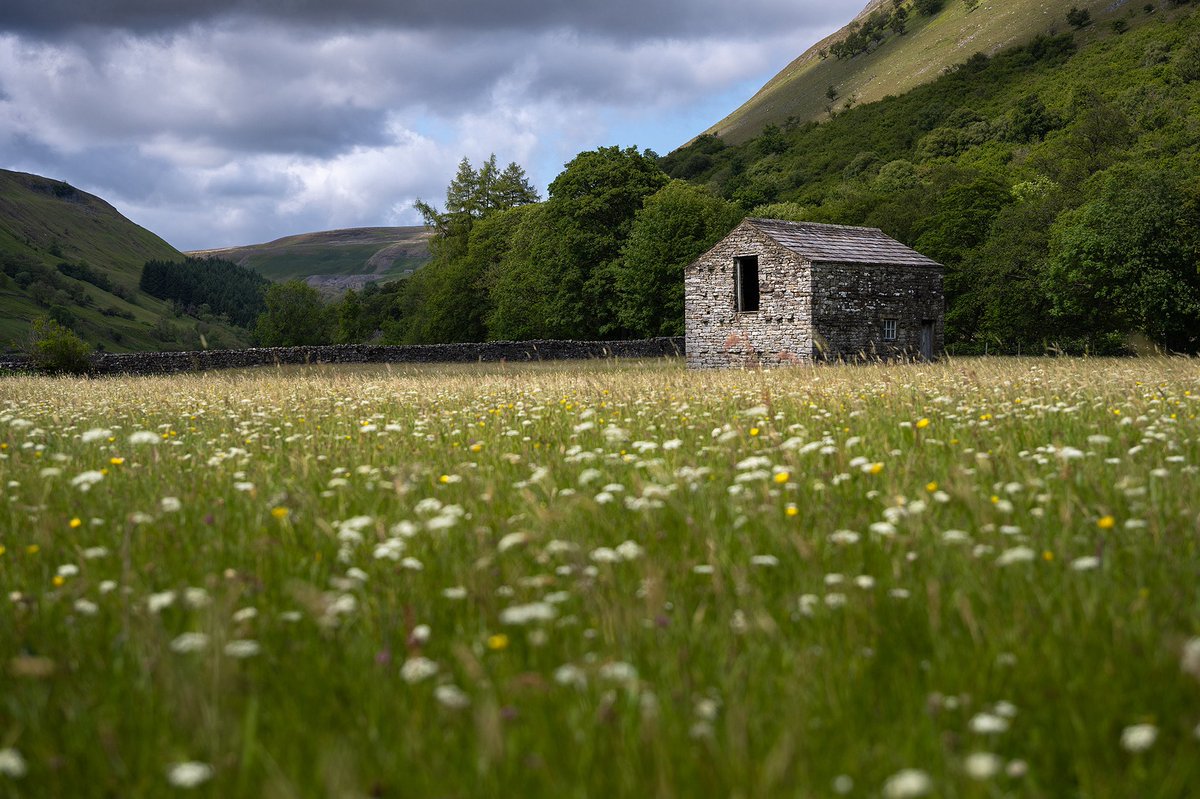 The Muker wildflower meadows in the Swaledale valley looking magnificent with their summer blossoms. A location that never fails to be absolutely stunning 🤩 #yorkshire #YorkshireDales #landscapephotography