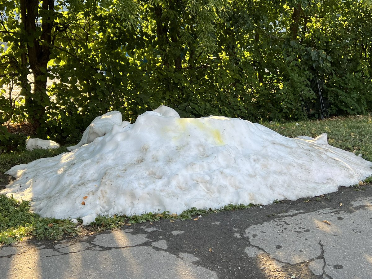 Considering it will hit 40 Celsius with humidex in Toronto, couldn’t the city put the ice shavings from rinks in an enclosed play area for kids instead of leaving it outside and have dogs urinate in it?