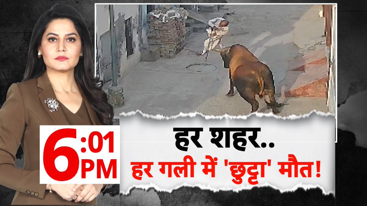 ABPNews's tweet photo. हर शहर...हर गली में 'छुट्टा' मौत !
देखिए 'abp रिपोर्ट' शीरीन ( @Sheerin_sherry) के साथ
आज शाम 6:01 बजे, सिर्फ abp न्यूज़ पर
https://t.co/smwhXUROiK
#Animals #Bull #BullAtack https://t.co/W3o2Vlwgzo