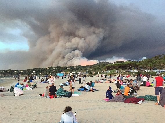 Climategate - LIVE: Hevige natuurbrand uitgebroken in Zuid-Frankrijk: vuur verspreidt zich razendsnel, al 2400 hectaren getroffen  - climategate.nl/2025/08/live-h… - climategate.nl - #@climategateNL