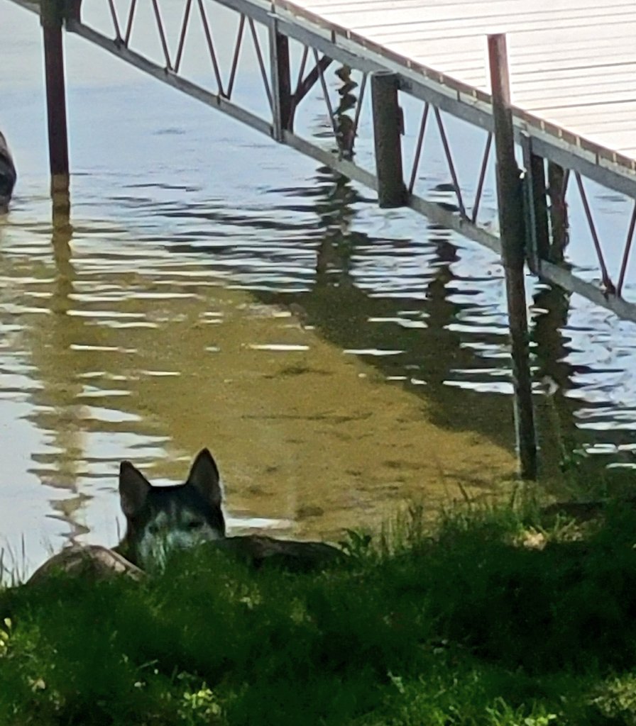 ✧⁺⁎ MisMagpie✧⁺⁎ tweet media