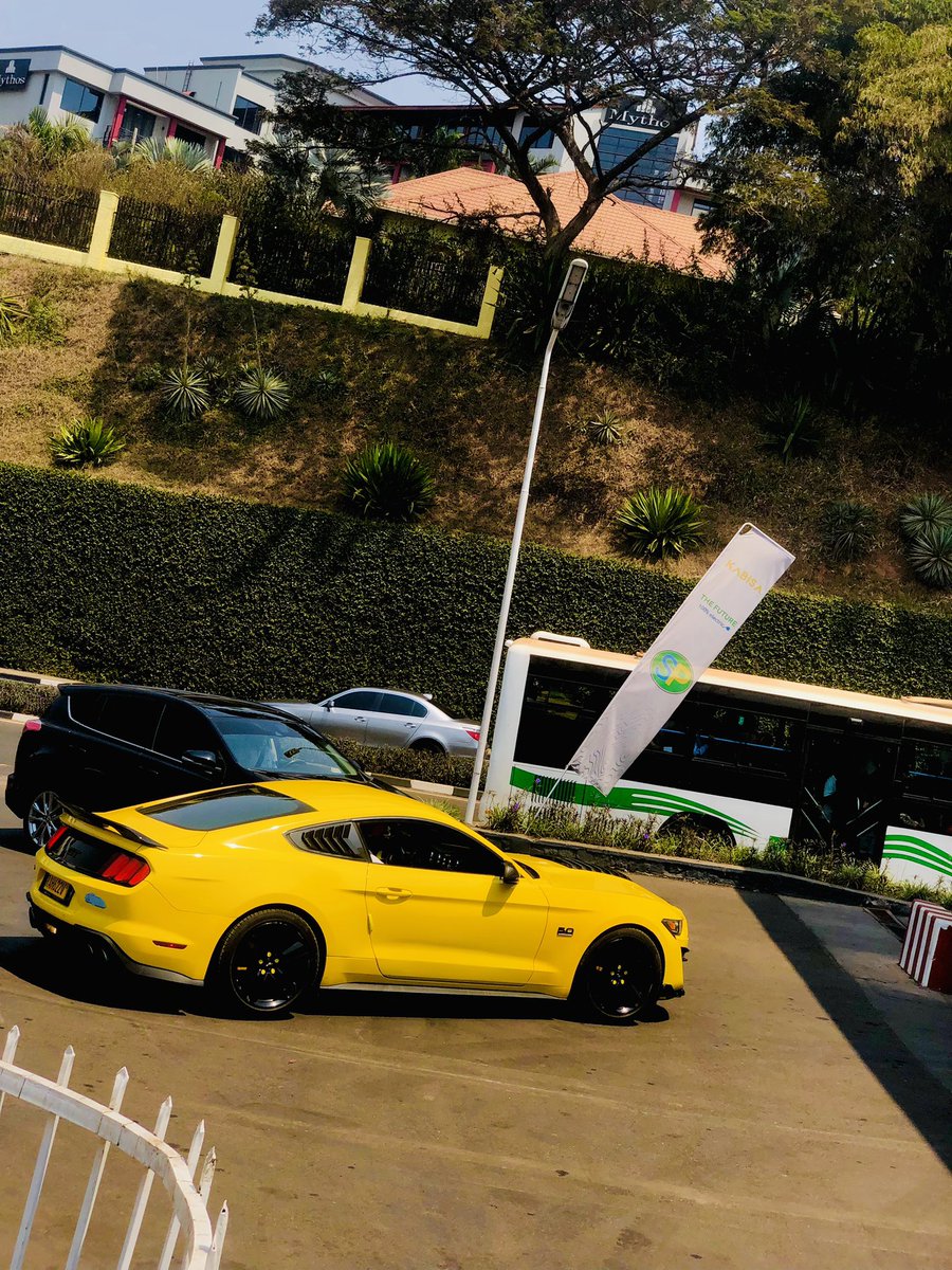urifakee's tweet photo. Bro 😎 💛💛💛💛💛💛💛💛💛💛💛💛💛💛💛💛whoever owns this beast please 🙏 if this land on your screen uzampe akanyenga

I took these https://t.co/Wy1tGX9SN3