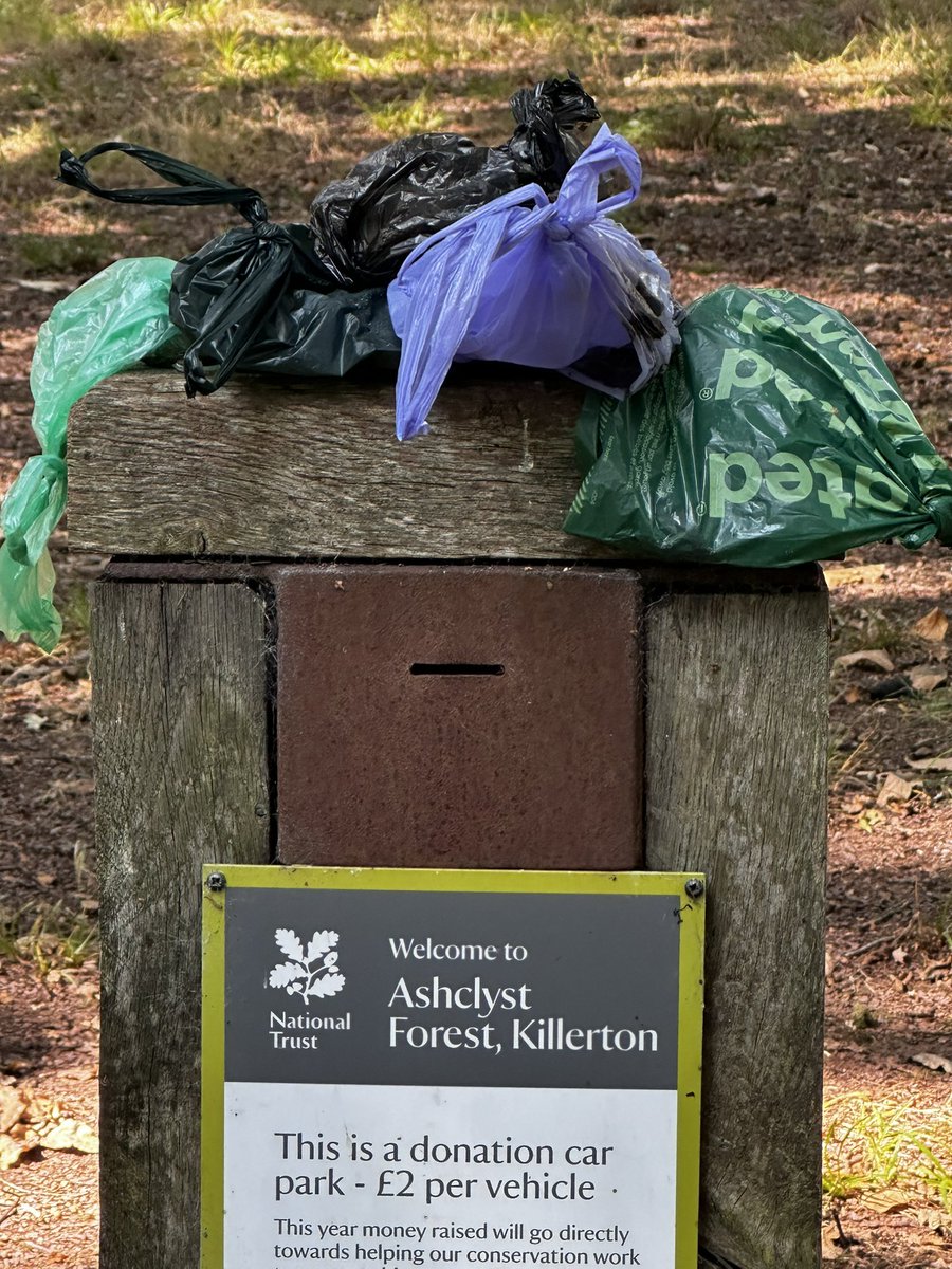 Ashclyst Forest this morning. The local morons putting their dog poo bags onto the top of the voluntary car parking box. 
I don’t understand how thick people can be and like sheep!  <a href="/NE_DCIoS/">Natural England- Devon, Cornwall & Isles of Scilly</a> <a href="/nationaltrust/">National Trust</a> <a href="/ExeterCouncil/">Exeter City Council</a> <a href="/eastdevon/">East Devon District Council</a> <a href="/DogsTrust/">Dogs Trust 💛🐶</a>