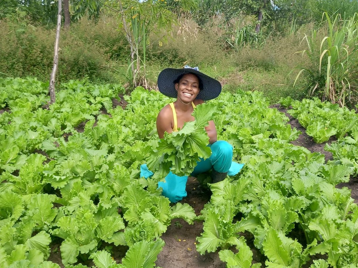 Guebray Berhane (@guebrayberhane) on Twitter photo 🤝Today is ##IYD2025 ‼️
🌱For <a href="/ilo/">International Labour Organization</a>, the future could be #rural
⭕"#Agriculture isn’t just ‘backbreaking work". It’s #Africa’s next tech frontier!
💡With training + opportunity, young farmers are rewriting the future of food.
🎧#Podcast : tinyurl.com/5dabnc2r
#YouthInAg 🤝Today is ##IYD2025 ‼️
🌱For <a href="/ilo/">International Labour Organization</a>, the future could be #rural
⭕"#Agriculture isn’t just ‘backbreaking work". It’s #Africa’s next tech frontier!
💡With training + opportunity, young farmers are rewriting the future of food.
🎧#Podcast : tinyurl.com/5dabnc2r
#YouthInAg