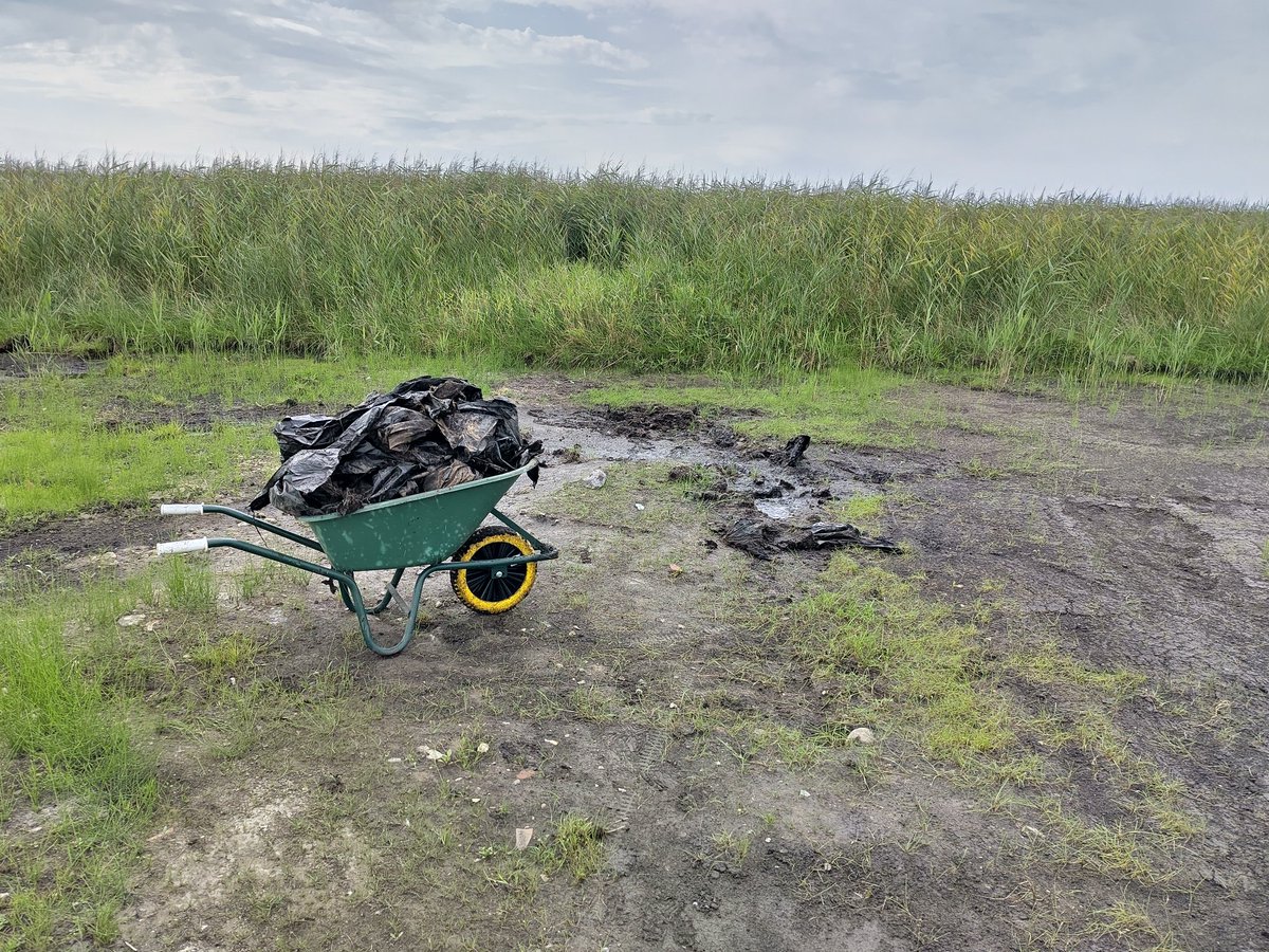 Archeologische vondsten die verschillende beelden oproepen.
 1.  Hier hebben trekpaarden nog lopen zwoegen.🐎
2. Waarom begraaf je dit toch in de grond? Toch maar opruimen. ☹️ Lettelberterpetten natuurontwikkeling  mooi om te volgen.