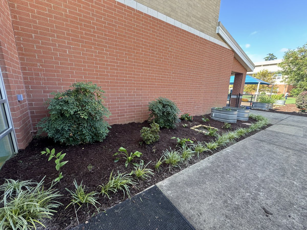 Bay Leaf Baptist Church came to our school to support campus Beautification Efforts. They beautified our campus by adding flowers to our flower boxes, weeding and mulching the front circle and refreshing the courtyard with flowers, plants, and mulch. We are so appreciative! 🫶🏻🌻