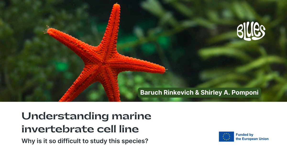Why have marine invertebrate cell cultures been failing for decades? Our new publication lists:

1️⃣ Optimization of culture media
2️⃣ Strategies to maintain stemness
3️⃣ Application of omics technologies
4️⃣ Selection of the right cell types

Read it here:
link.springer.com/article/10.100…