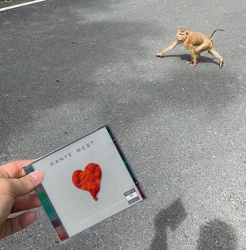 Tek fotoğrafta insan türünün evrimi