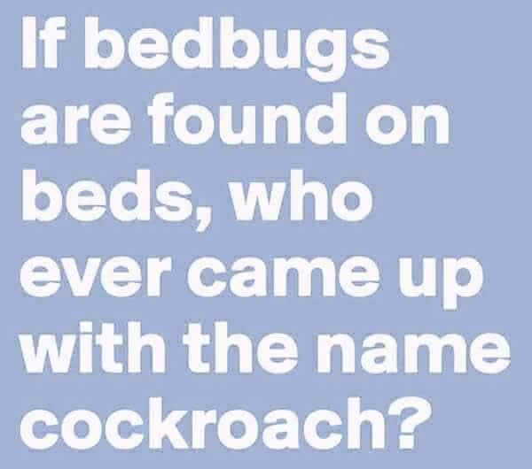 BIGDADDY (@rickbigdaddy66) on Twitter photo 