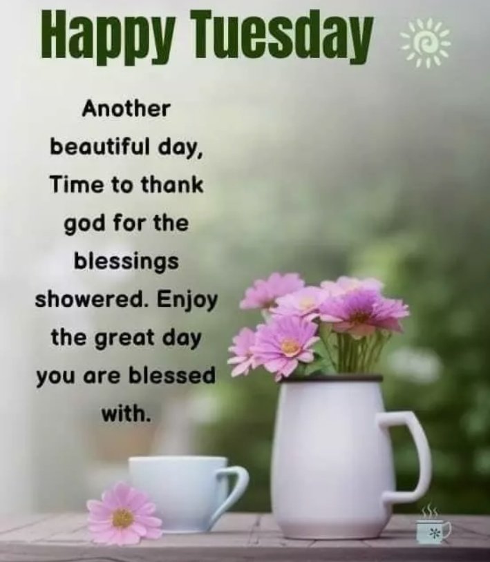 Good morning! 🌞 Happy Tuesday!