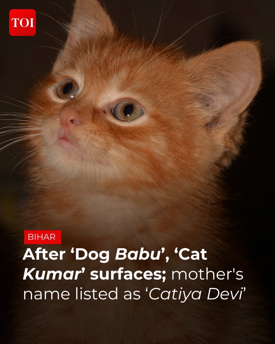 timesofindia's tweet image. Authorities in #Bihar&apos;s Rohtas district are investigating a bizarre incident where an #application for a residential certificate was filed under the name &quot;Cat Kumar,&quot; son of &quot;Catty Boss&quot; and &quot;Catiya Devi,&quot; complete with a canine&apos;s photograph.

Know more 🔗 toi.in/uy4H1a73