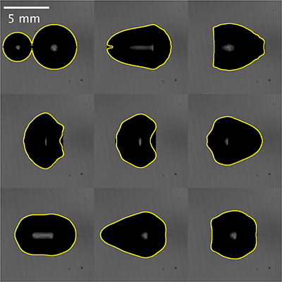 PhysRevFluids's tweet photo. The excitation of multiple modes in the shape oscillations of an air bubble in water resulting from coalescence can be probed using magnetic levitation. While the bubble shape agrees with theory, multimode coupling greatly affects its frequency response.
https://t.co/zifaCN0FAO https://t.co/lQZ0YVDJYq