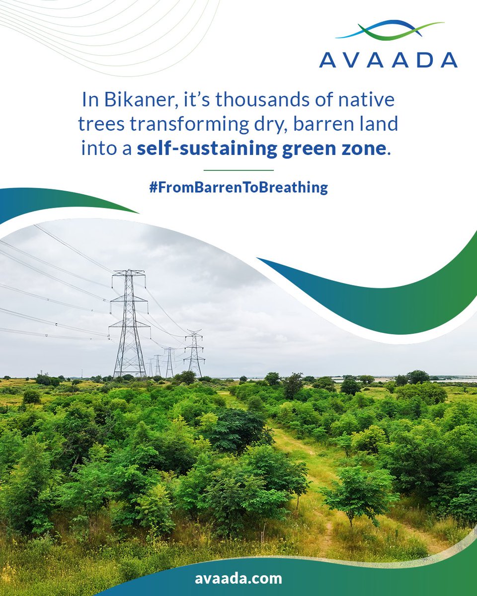 Avaada’s afforestation program is turning barren landscapes into thriving green zones across India. By planting native trees, we restore ecosystems, boost biodiversity, and create lasting environmental value like this transformation in Rajasthan.