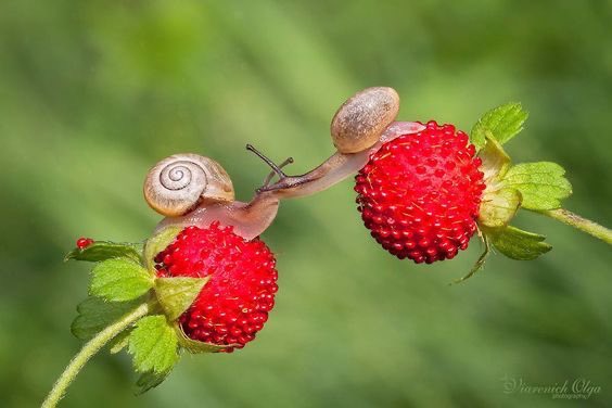 Spadiddle's tweet image. This is so romantic