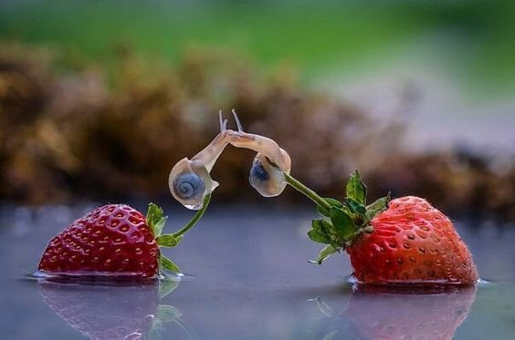 Spadiddle's tweet image. This is so romantic