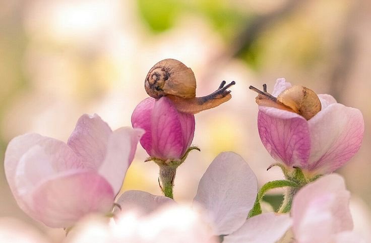 Spadiddle's tweet image. This is so romantic