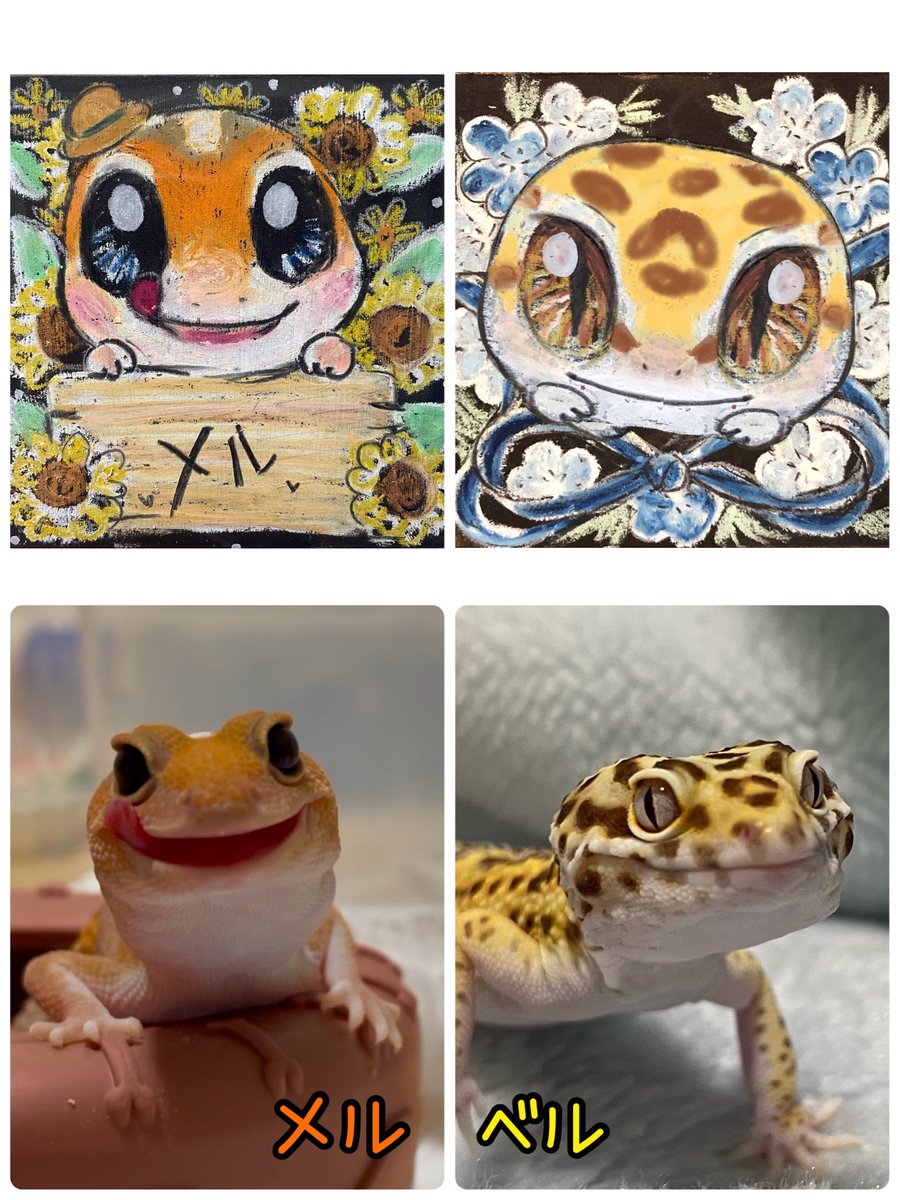 え、かわいい😍
<a href="/777Ciki/">消えない♪爬虫類チョークアート　堂園ちき</a> さんありがとうございます！