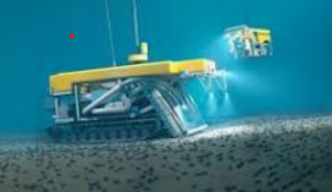 Amnesty Toronto tweet media