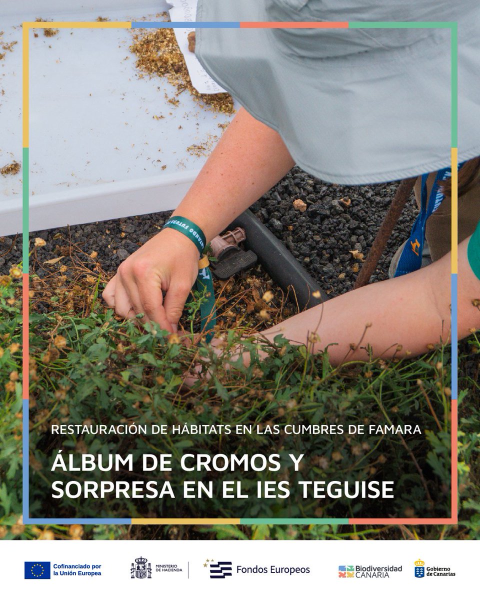 Biodiv_GobCan's tweet image. Las cumbres de Famara tienen graves problemas de herbivoría, pérdida de suelo y desertificación, y los alumnos de Formación Profesional del IES de Teguise están colaborando en su restauración, 🧵⬇️
