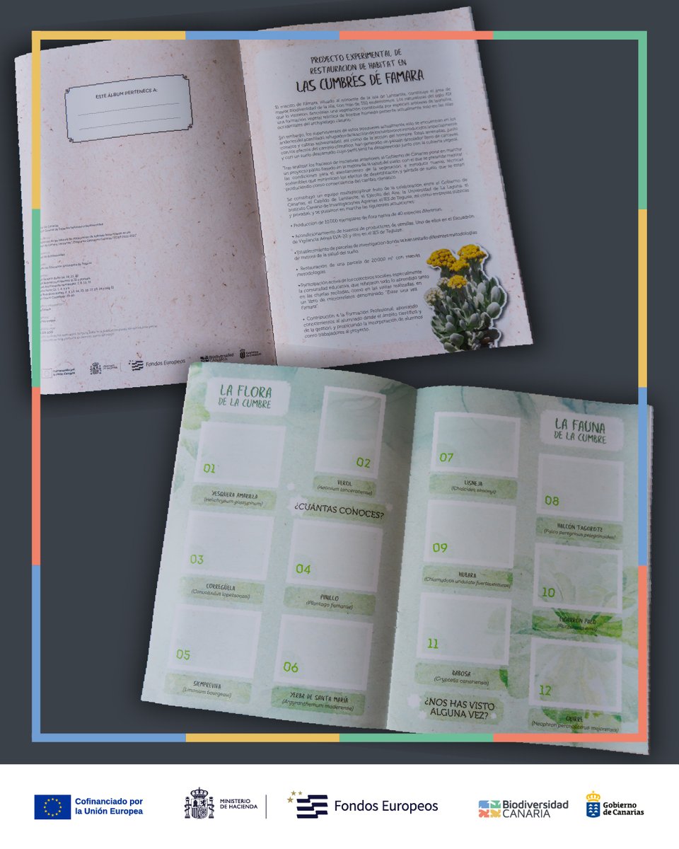 Biodiv_GobCan's tweet image. Las cumbres de Famara tienen graves problemas de herbivoría, pérdida de suelo y desertificación, y los alumnos de Formación Profesional del IES de Teguise están colaborando en su restauración, 🧵⬇️