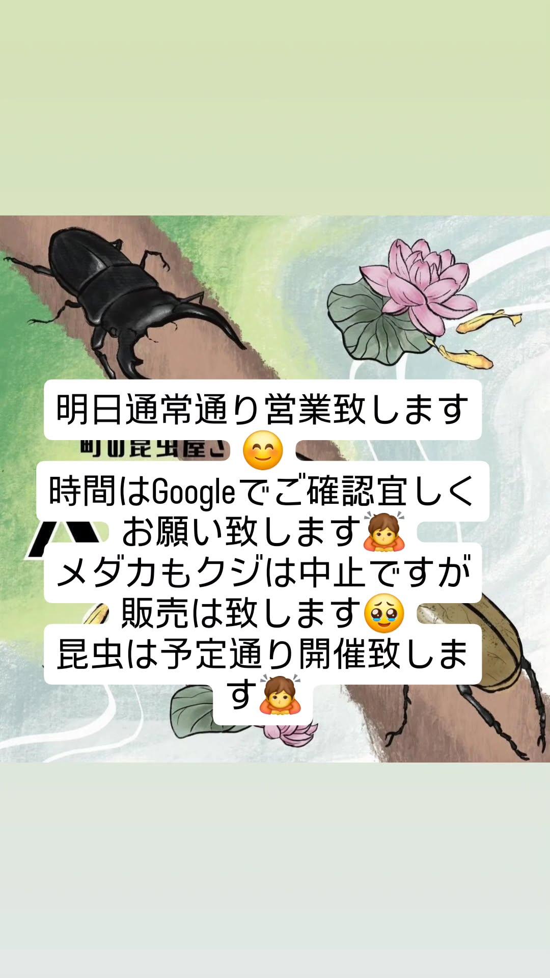 よろしくお願いします^_^お値下げ不可 Peko on X: 