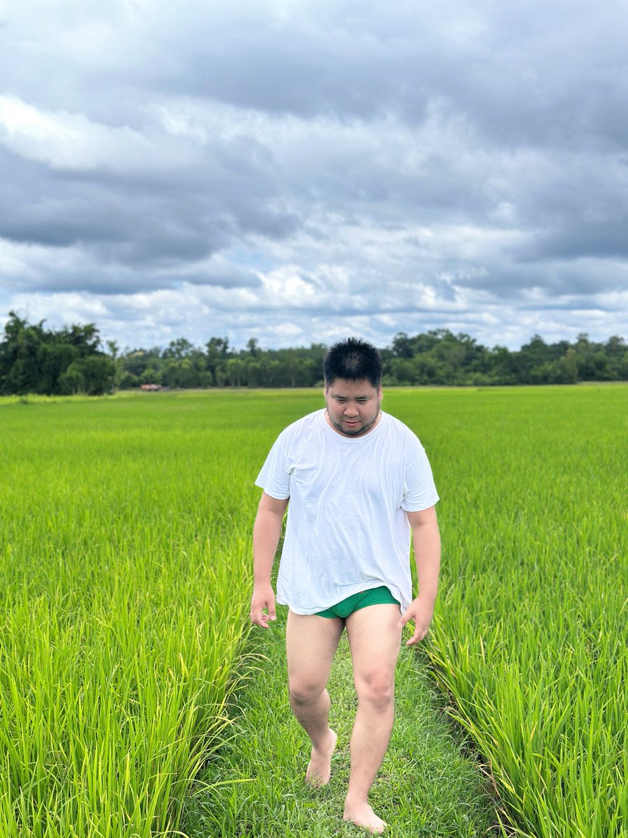 KooBOTH's tweet photo. สีเขียว 🍃🌿🌾 https://t.co/BLBbtLsp33
