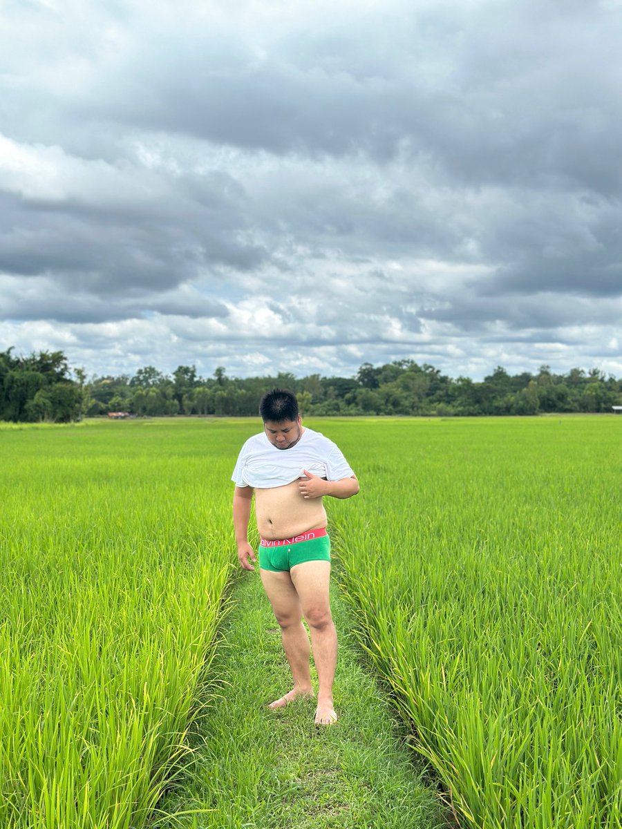 KooBOTH's tweet photo. สีเขียว 🍃🌿🌾 https://t.co/BLBbtLsp33