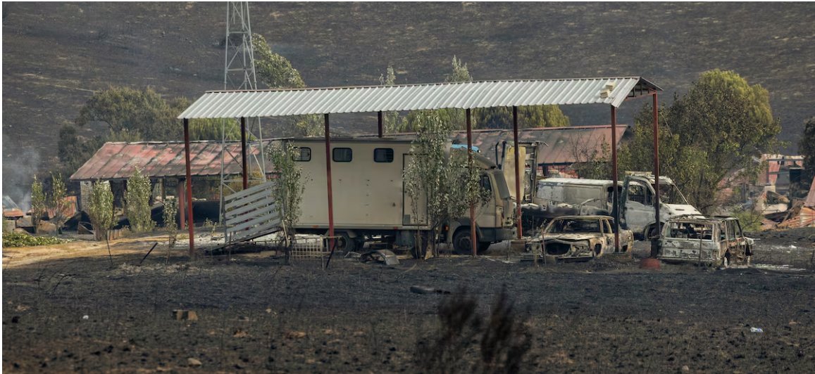 berenthard's tweet photo. 1/3 NO FUE UN LOCO sino UN HEROE:  El Señor que decidió conducir su coche a toda velocidad entre el humo y el calor sofocante siguiendo un camino de tierra no era un LOCO. Sabía que 23 caballos estaban aún en la HIPICA Tres Cantos y estaban a punto de morir si no lograba -> https://t.co/YnqsKoyvG0