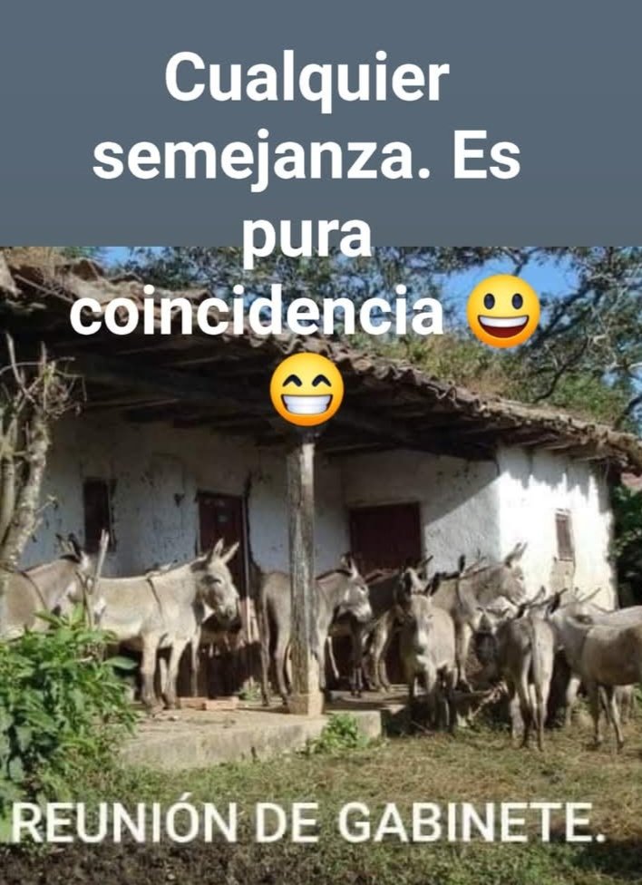 <a href="/ABCDigital/">ABC Digital</a> <a href="/AM_1080/">Monumental AM 1080</a> <a href="/chiqui_avalos/">Chiqui Avalos 🇵🇾</a> Cámara de Senadores.