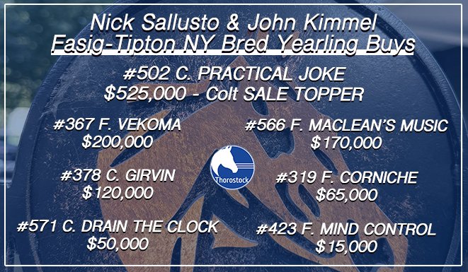 ThorostockLLC's tweet image. 🔵 Including the $525,000 Practical Joke colt Sale Topper, Nick and John purchased 7 promising prospects over the past two days @FasigTiptonCo @nytbreeders Yearling Sale!
#StockedUp