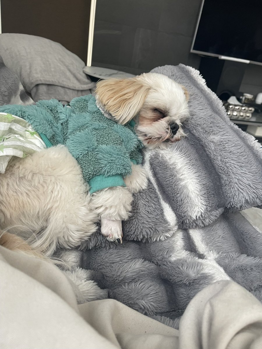 何が辛いのかって、
毎日当たり前だったことが
これから何年も続くと思っていたことが
急に変わってしまって頭が全然追いついていかないの。

いつも3皿用意していたごはんが、今では2皿しか並ばないこと。
蓮のために届くごはんが、毎月ただ溜まっていくこと。