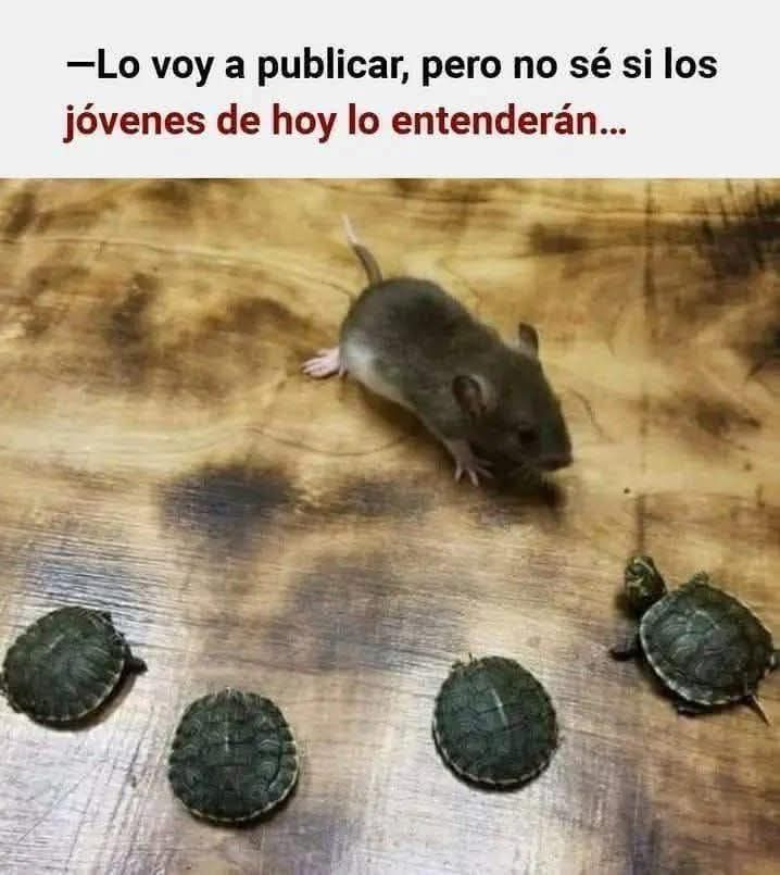 Enséñame de Ciencia tweet media
