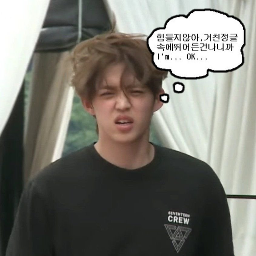 To_u_scoups (@to_u_scoups) on Twitter photo 