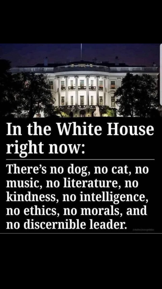 Kevan Young (@kevanyoung2) on Twitter photo It is now the House of Hate, Racism, and Bigotry. The darkest period in American history. <a href="/realDonaldTrump/">Donald J. Trump</a> It is now the House of Hate, Racism, and Bigotry. The darkest period in American history. <a href="/realDonaldTrump/">Donald J. Trump</a>
