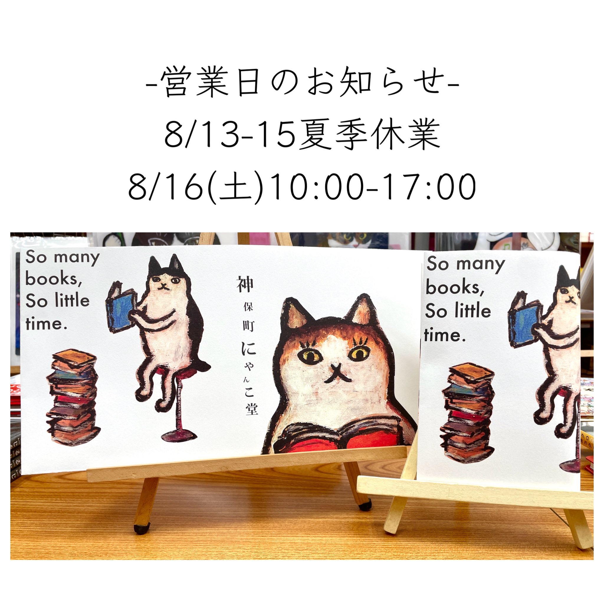 にゃんこパンチ⭐︎家庭保育園　教材 猫本専門 神保町にゃんこ堂_姉川書店 on X: 