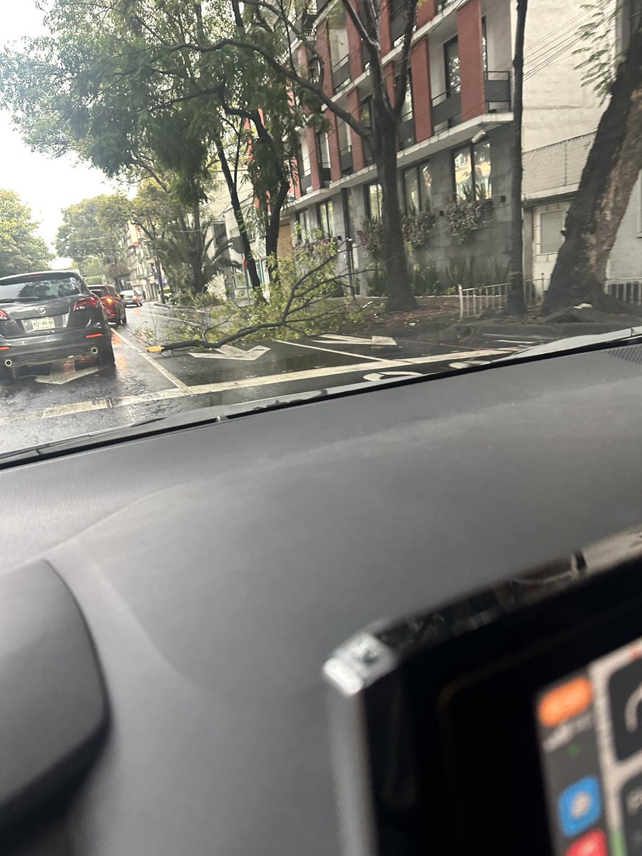 alemapsu's tweet photo. Cuidado, en eje 6 hay una rama tirada sobre dos carriles @adn40  #cuidado  #LLUVIASCDMX  #lluvia #eje6. #Delvalle https://t.co/yKIVSTFAaO