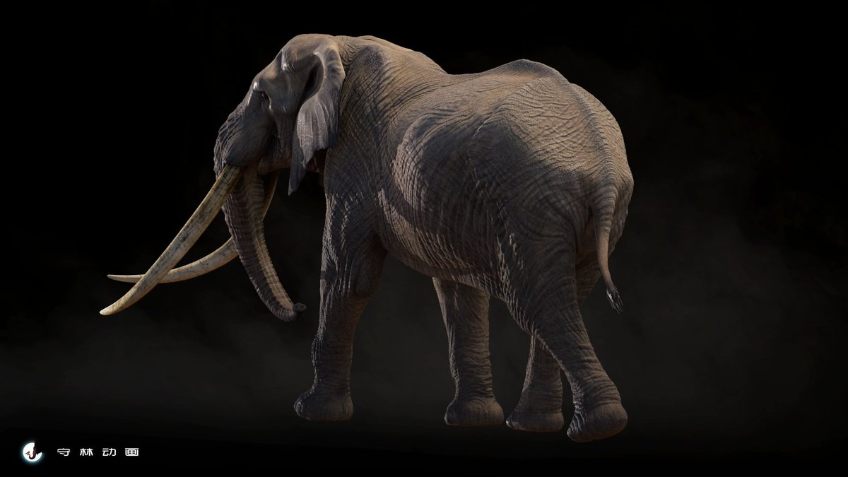 African Savanna Elephant