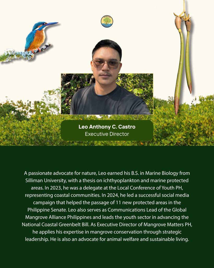 Mangrove Matters PH tweet media