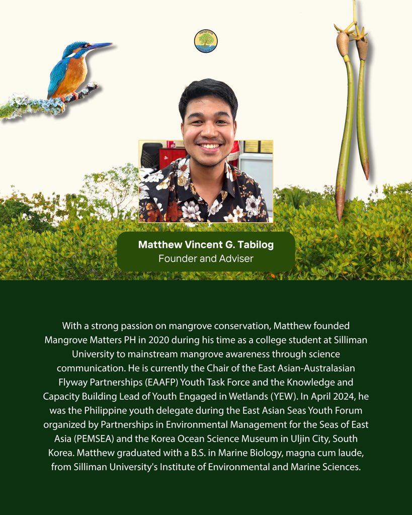 Mangrove Matters PH tweet media