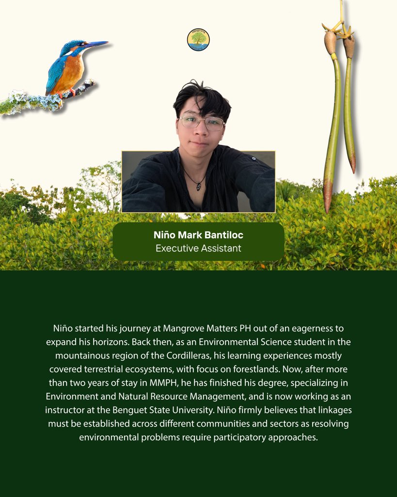Mangrove Matters PH tweet media