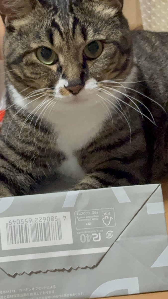 悪い顔しとりまっせ