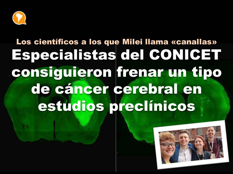 El tratamiento experimental se centra en el glioblastoma, el tumor cerebral primario maligno más común en adultos y altamente resistente a la quimioterapia y radioterapia.
#Cancer #Salud #CONICET #Ciencia #Tecnología <a href="/CandolfiLab/">Lab Candolfi, FMed.⭐⭐⭐</a> 

periferia.com.ar/investigacion/…