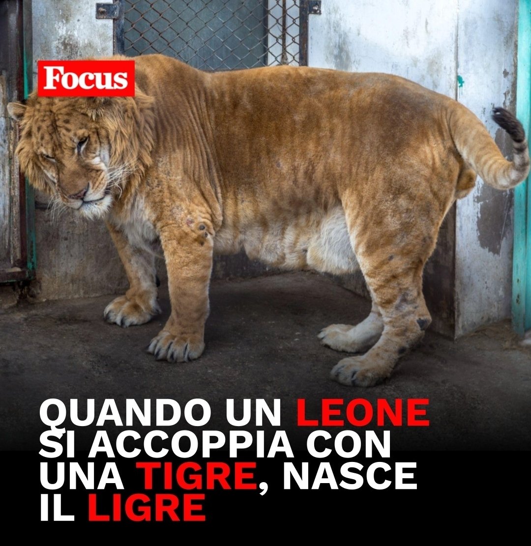 Njckolas tweet media