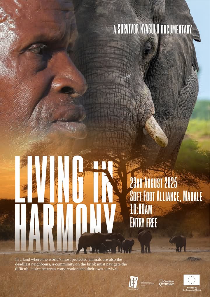 MbuleloMpofu's tweet image. #GigGuide