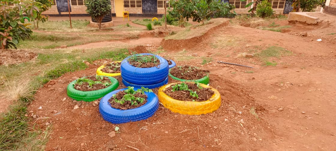 kenaff_farmers's tweet photo. 🌍 #KENAFFInAction at the East Africa Regional #ESD Forum 2025 – Kigali!
Mary Kageni, Head of Climate Action, joins regional partners to advance green education from policy to grassroots, driving SDGs by 2030. 🌱
#SustainableDevelopment #ClimateAction #SDGs2030 https://t.co/7wQp5TsyBE