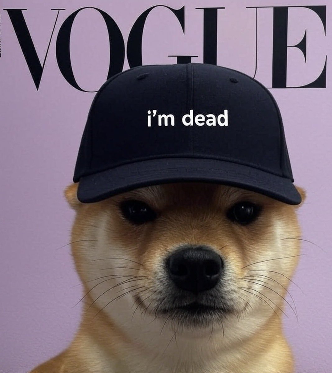 _imagyn's tweet image. dogwifhat running hardest wif solana right now is beautiful
there is no better representation of a pure meme for solana than $wif
distribution, lore, holder count, a true MEME with the strongest memetics possible
the original cult. the original don dada
