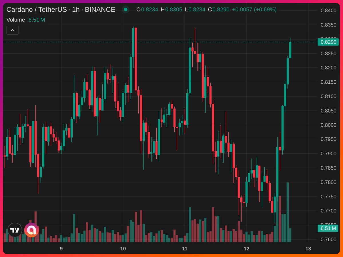 OxManuel tweet media